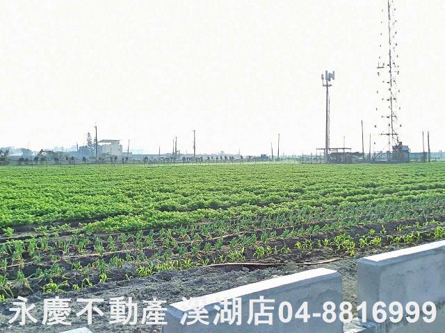 芳苑農地-9