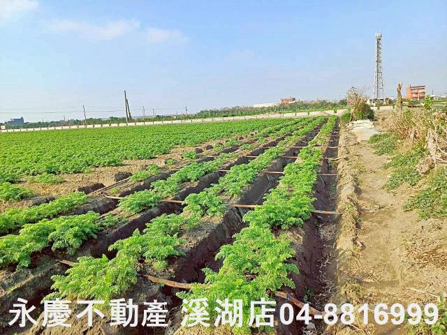 芳苑農地-10