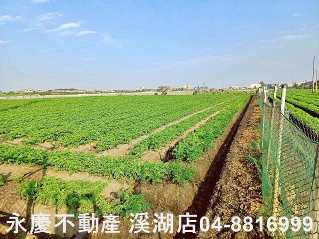 芳苑農地-5