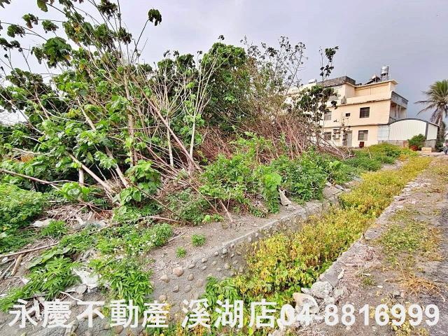 埔鹽建地-6