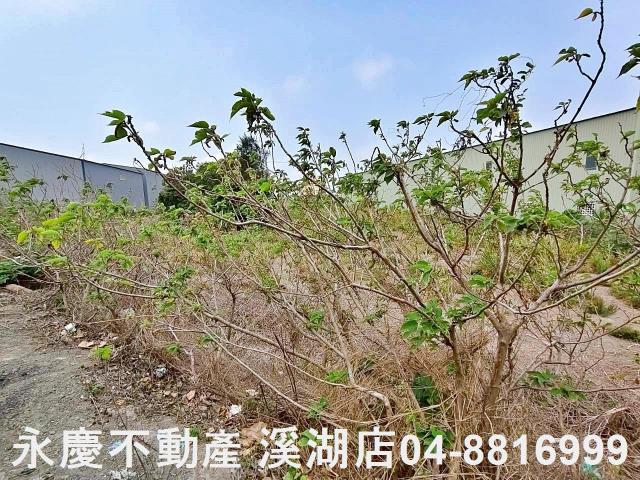 福興農地-3