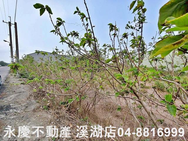 福興農地-4