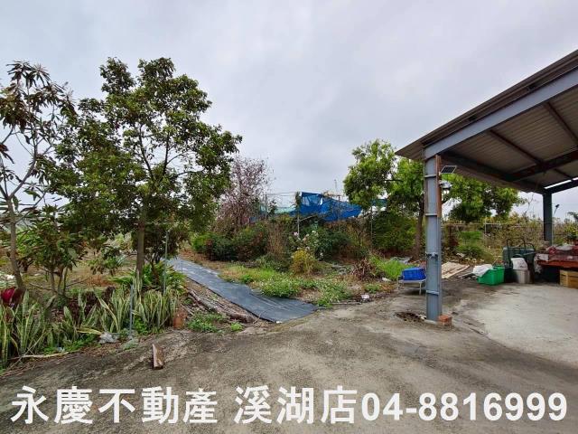溪湖農地-10