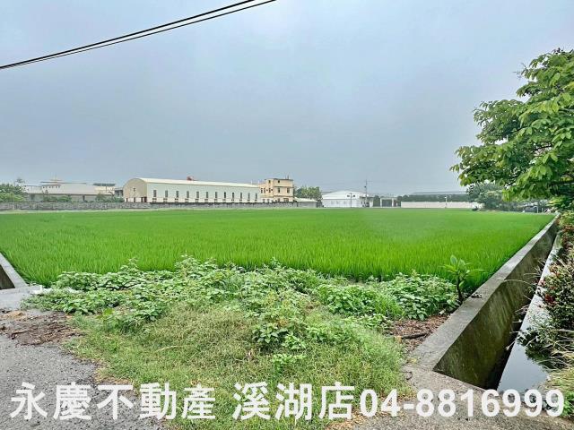 秀水農地-0