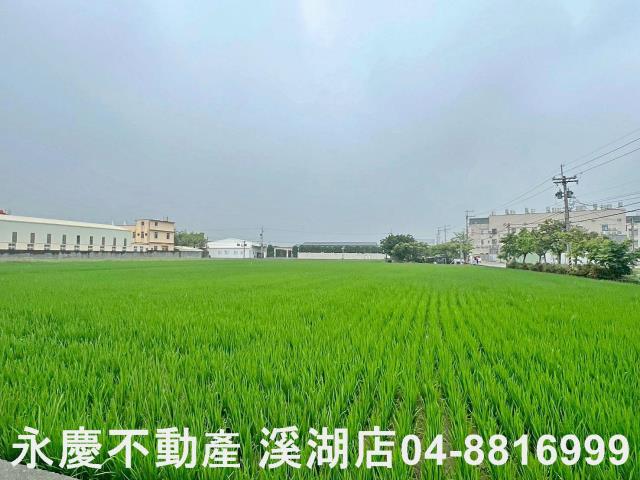 秀水農地-2