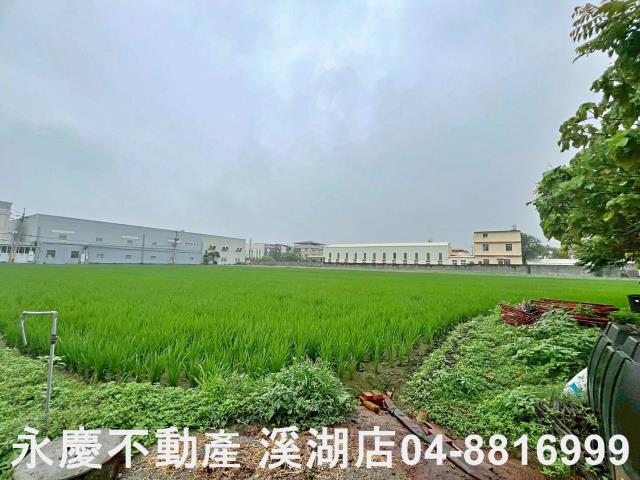 秀水農地-5