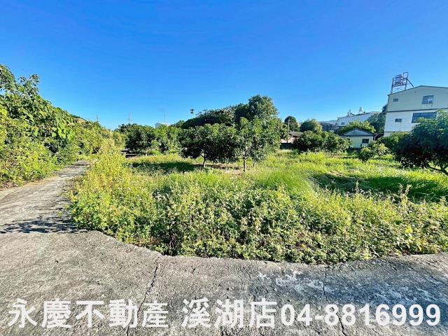 社頭農地-12