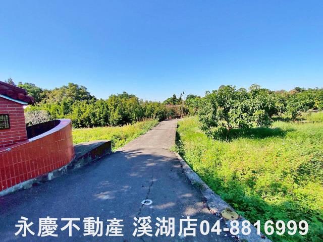 社頭農地-3