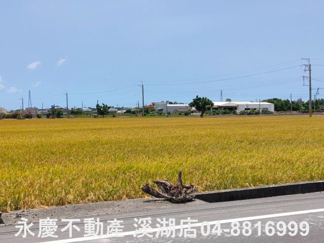 埔鹽農地-4