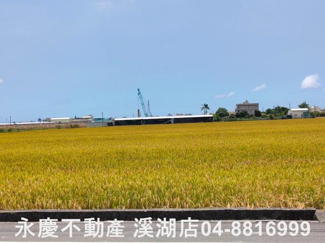 埔鹽農地-7