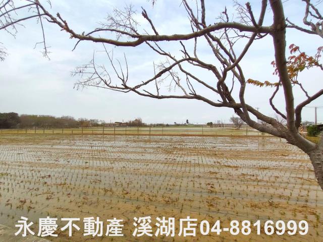 埔鹽農地-8