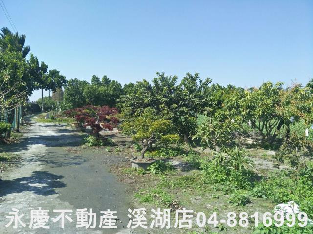 埤頭農地-2