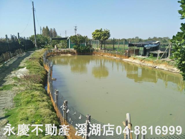 埤頭農地-3
