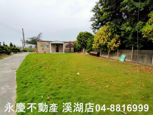 埤頭農地-4