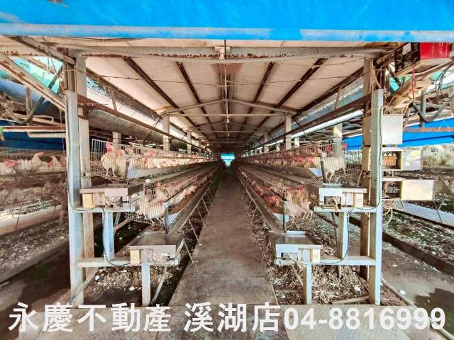 埔鹽農地-5