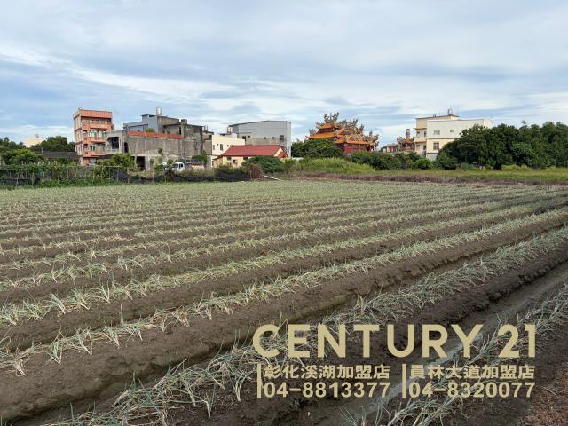 彰化農地-2