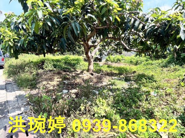 彰化芬園建地-4